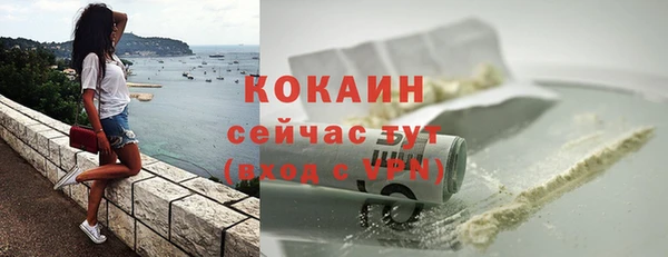 шишки Балахна