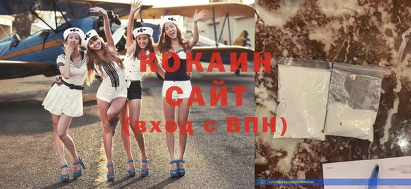 шишки Балахна