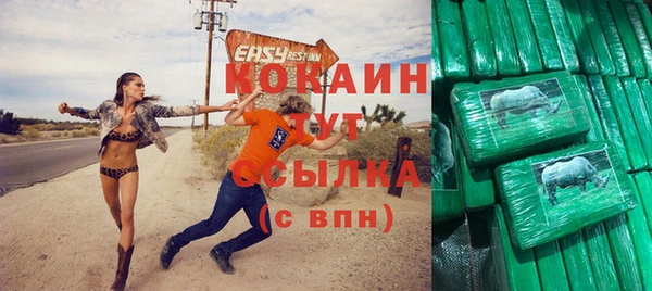шишки Балахна